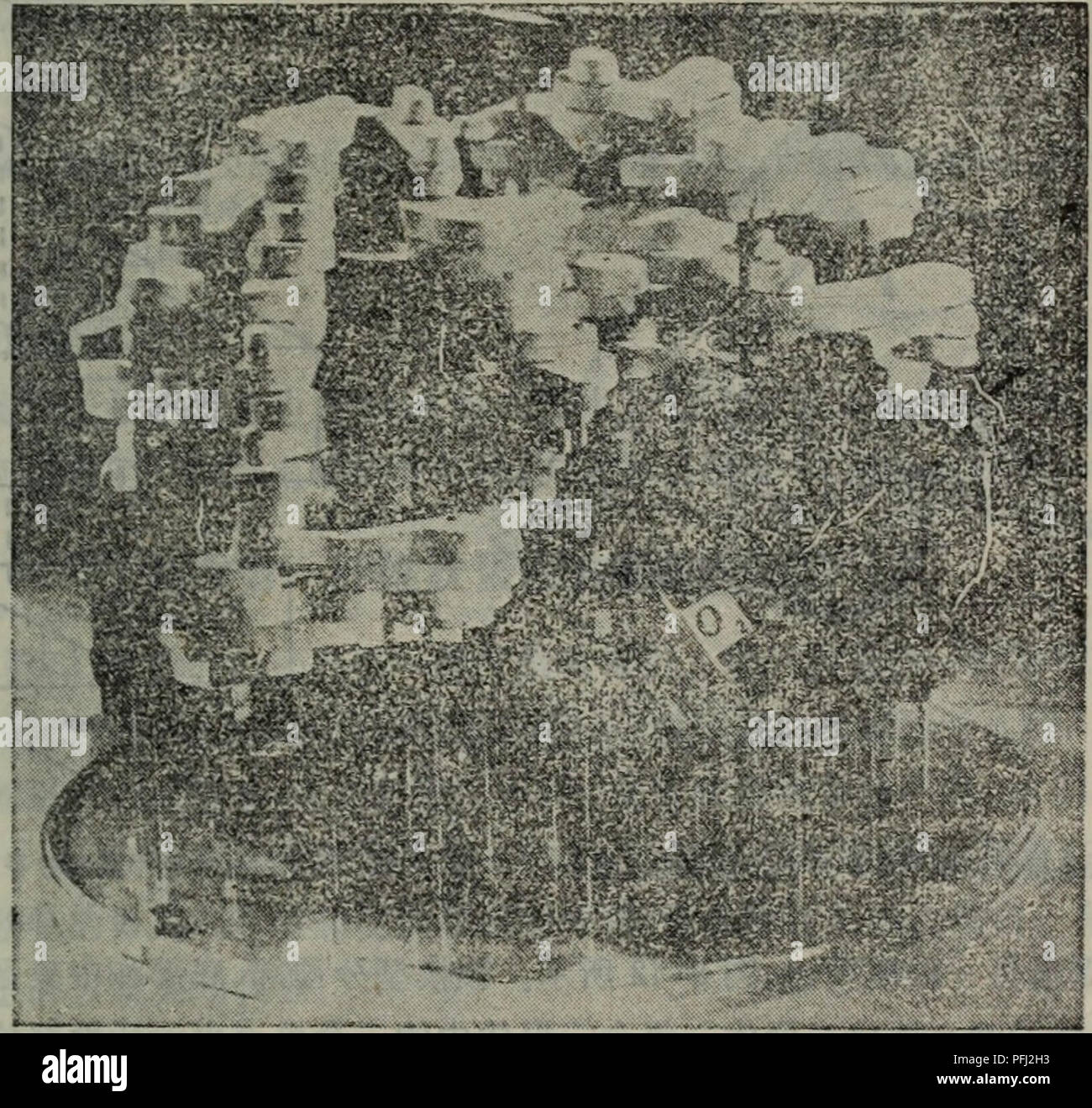 Dan Bai Zhi Fen Zi Ji Chu Botanique C Ae E Ae 8 5aa Aºa Aec E E Caºaa C C A Ae C A Ec E Caºaa Ae C I Aeaºaaaa aºa 2130c A Ec E Ae Caºaa Ae A Ae I A ªa Ae Cae A Ae I A E E A C A A A A ªaºaa Aec E Caºaa C C I A