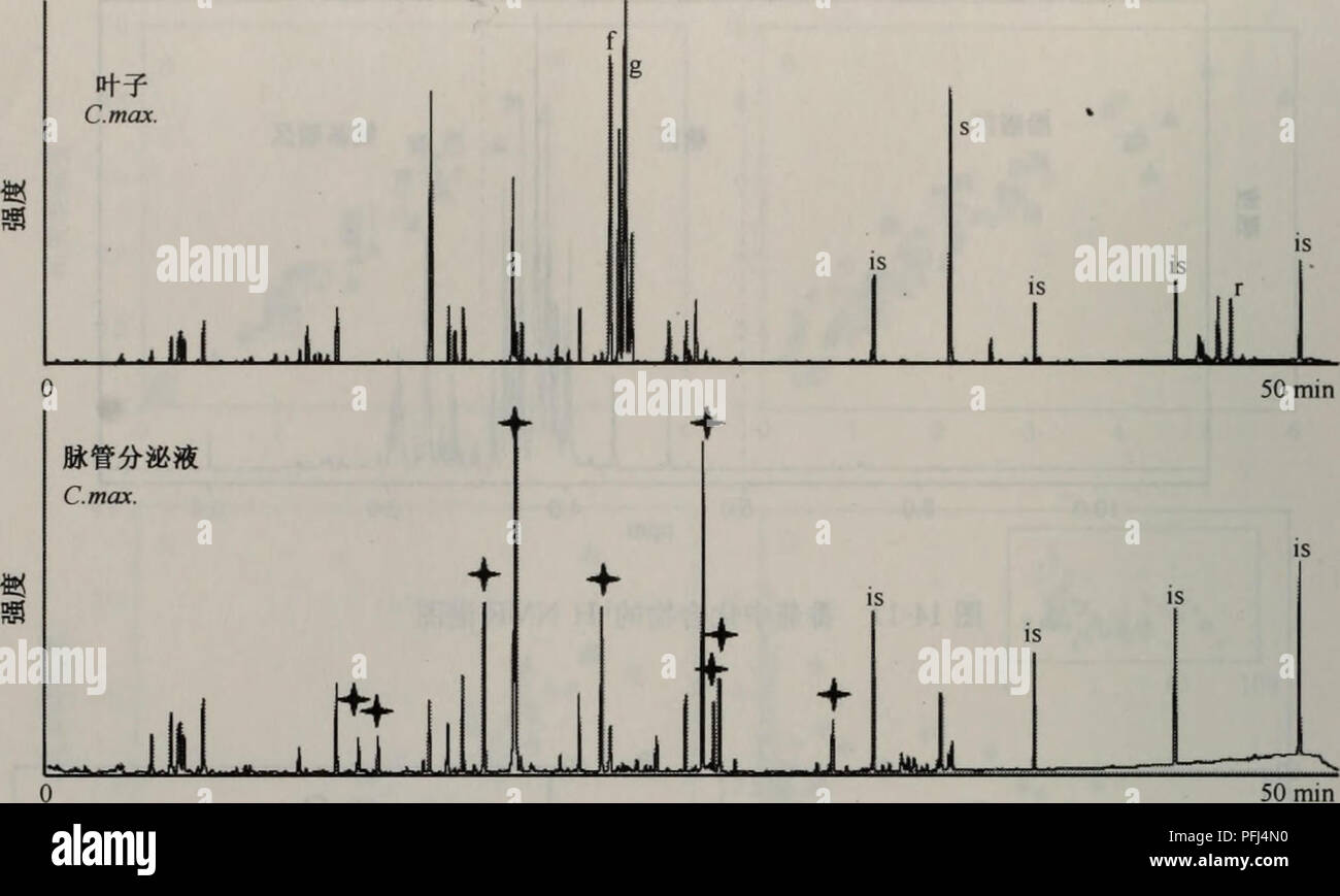 Ce titre se rapporte à un travail scientifique sur la botanique, axé sur l'application de méthodes avancées telles que la GC-MS dans la recherche végétale. Le texte explore des approches novatrices de l'analyse des plantes, éventuellement pour la recherche agricole ou botanique. Le travail met l'accent sur les méthodes d'étude des matériaux végétaux et de leurs propriétés chimiques. Banque D'Images