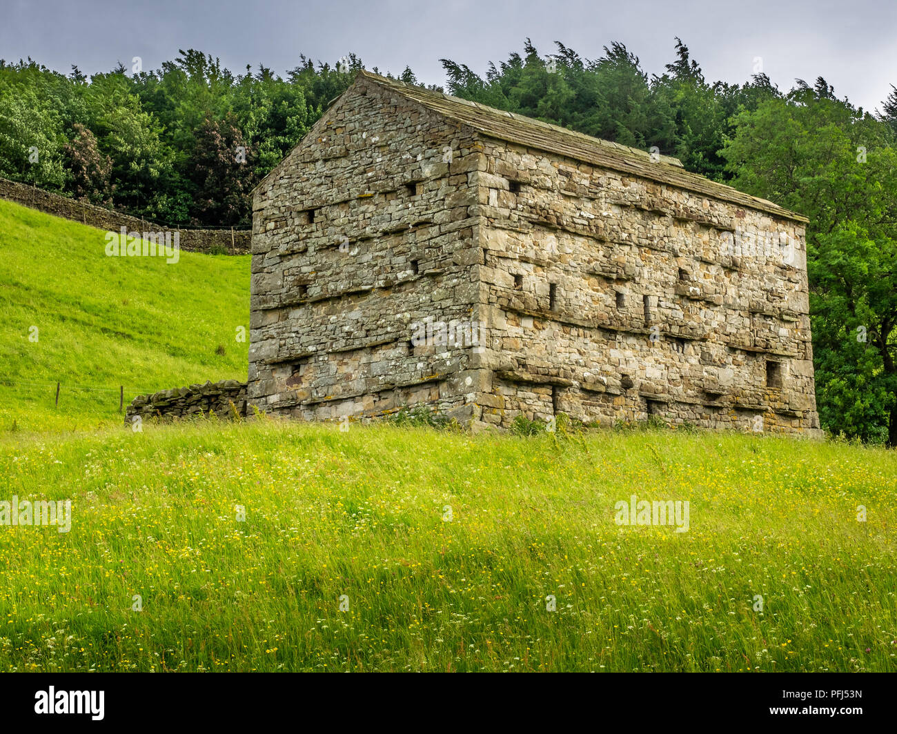 Swaledale dans le Yorkshire Dales National Park ses parties supérieures sont particulièrement remarquables en raison de son grand ancien domaine des granges en pierre calcaire , murs Banque D'Images