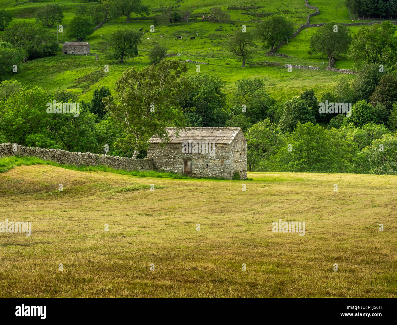 Swaledale dans le Yorkshire Dales National Park ses parties supérieures sont particulièrement remarquables en raison de son grand ancien domaine des granges en pierre calcaire , murs Banque D'Images