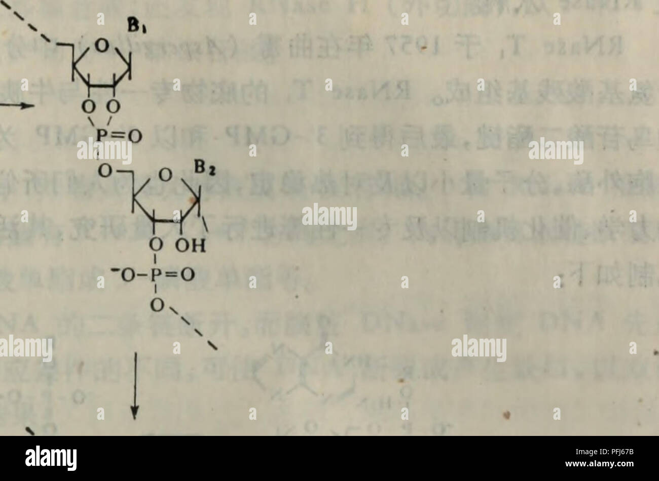 . Dai Dai Xie xie tang ji qi tiao kong yu il suan dai xie. botanique. RNaseae aeå çè°¯¯çº¦« åç åå¹¶¶æ"ç'çä ä'ªRNaseï¼å ¶çº§ç ä'aeå ²äº«·1963å¹'aeµå®ç .±12jiae° åºé« «åºaeaeï¼åå-éä®æ'º13700ãè .¯ «ä¹å¥é·²Ç¨åºç ae³äººå åaeãç'·¥æ±å¨aeae¹ Elå Ae³å¯±°å¤©ç¶RNaseåä ºäºä çè°'ªå³ Ï¼å ¶'°ä'æ æ ç''¯¦« çRNase§ (ç°RNase A),å¦ä'ä'ºç³ èç½ï¼RNase B·è).å¯¯ ¹È¥é ¶çåºç©ä'ä'æ§ãå è½å çåå-®¢… ä¿®é¥° åºåè½ãçç åaeåå ãae®©ç"æ§¿¨' è è è¡äºå¤§¶ãå éç ç©¶RNaseçmRNAï¼ç äºçè¤Å°è¯å¾å¿«°åå-éä'RNaseåä½ï¼å ¶º16,500ç"¯¯Nç æ å¤¶RNaseå¤ç©25ä'ªae åºé¨° åºï¼ç "æ®"çè Ç²ä½èä½ç¨kroměříž°®å å å·¥¯å° ç³è kroměříž·åçRNase¯¹ÇÈ B.å° RNaseçXçº¿ãae¡Å°è ç£å '¯ãç ±æ'"å¤§åè å å è°±ãåäºè²§ä¥æ" åå¹³è¡¡¨¦- åå å ç ç©¶ Banque D'Images