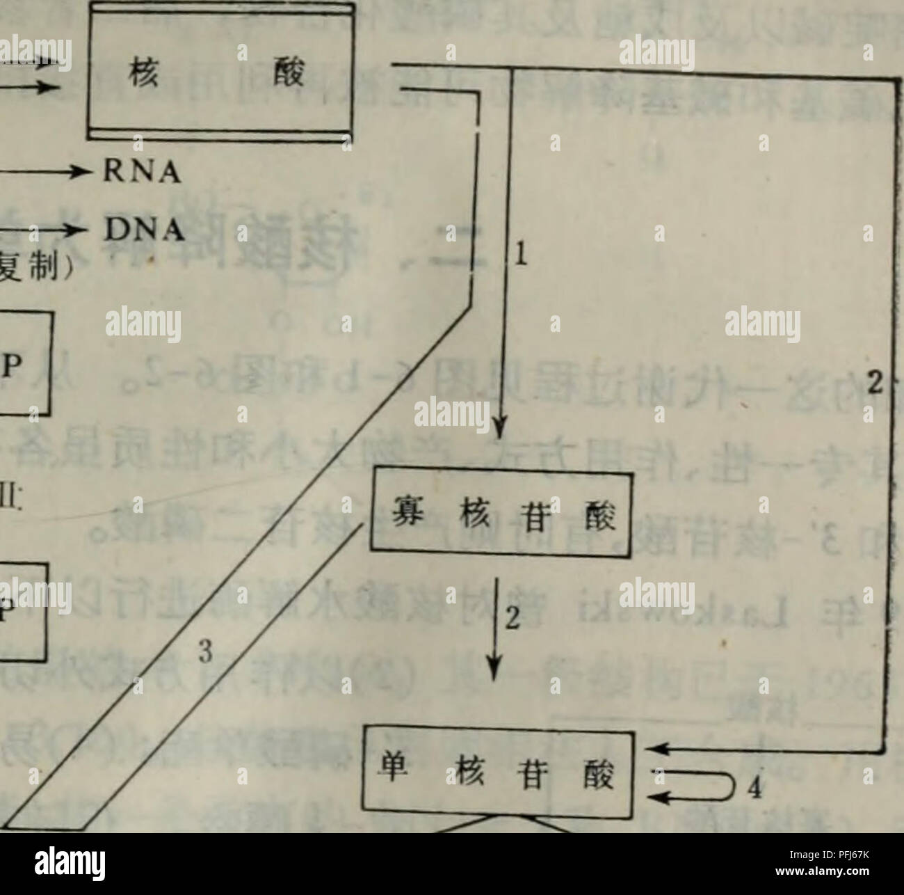 Dai Dai Xie Xie Tang Ji Qi Tiao Kong Yu Il Suan Dai Xie Botanique C A C Ae Cae E A E C A E A E A Ae E Cc C eaae Ae