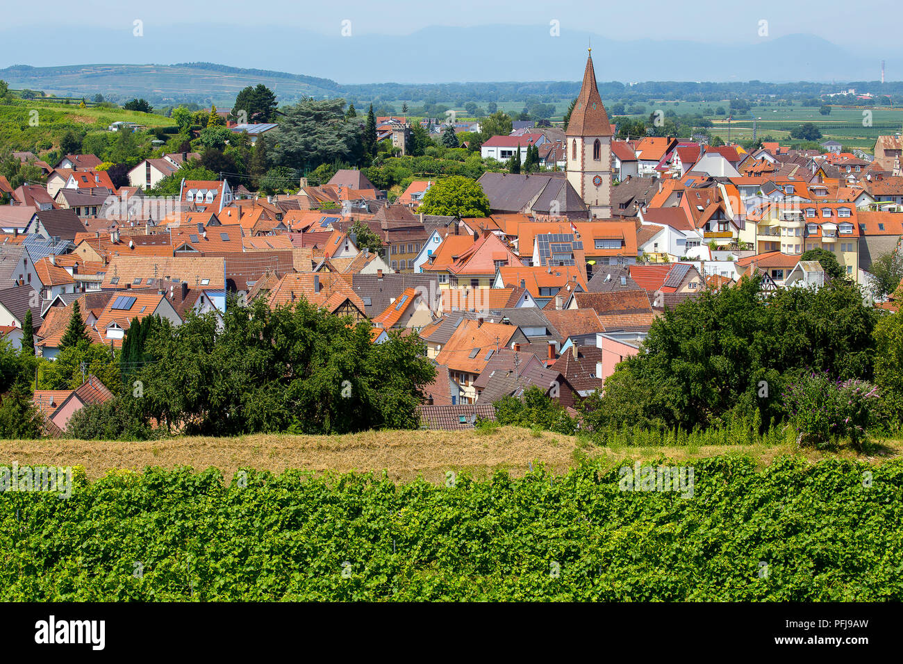 Voir plus de Endingen am Kaiserstuhl entouré de vignobles , Allemagne. Banque D'Images