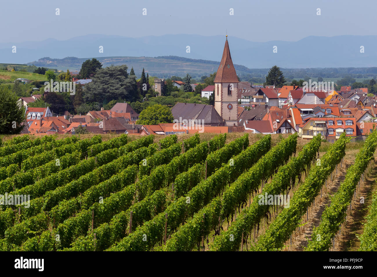 Voir plus de Endingen am Kaiserstuhl entouré de vignobles , Allemagne. Banque D'Images