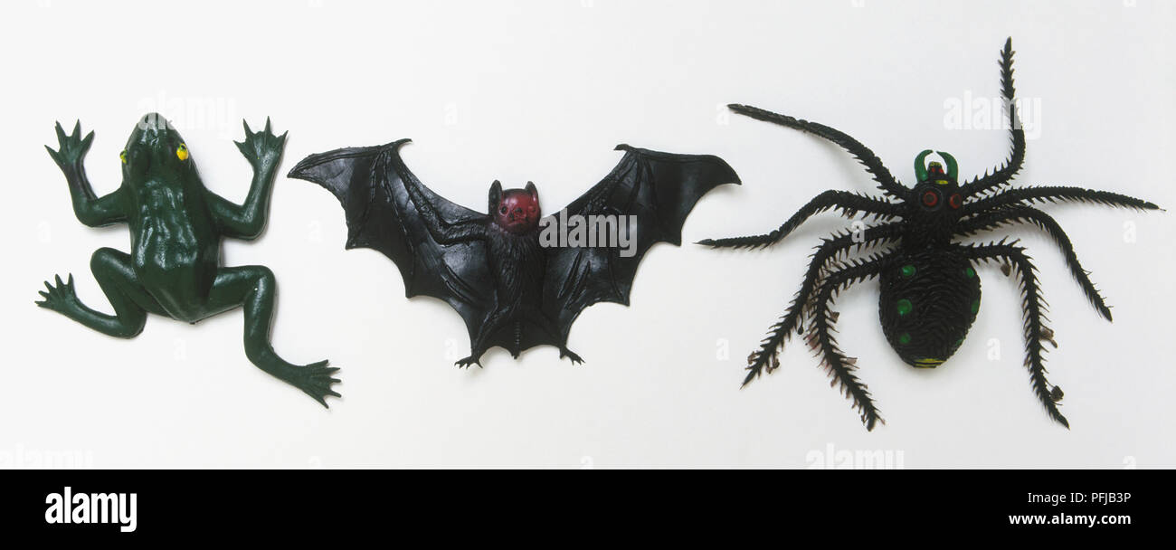 Grenouille jouet noir, chauve-souris et araignée, vue d'en haut Banque D'Images