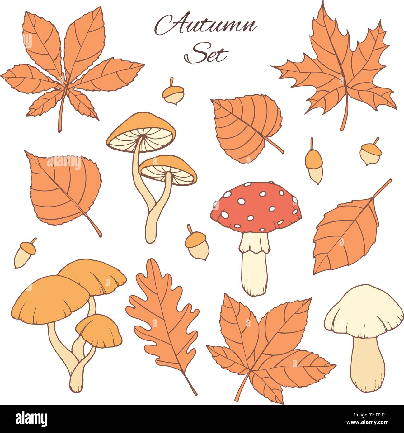 Hand drawn vector set d'automne avec le chêne, peuplier, hêtre, érable, de trembles et de feuilles de marronnier, les glands et les champignons isolé sur le fond blanc. F Illustration de Vecteur