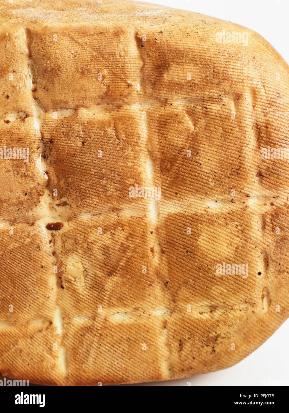 Croûte de fumé Ricotta Affumicata italien fromage au lait de vache, close-up Banque D'Images