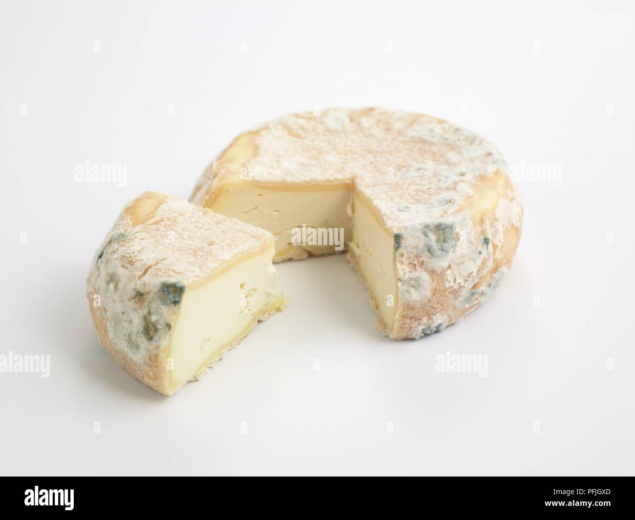 Meubles de série de Robiola di Roccaverano AOP, chèvre, brebis, fromage au lait de vache et montrant la moisissure sur la couenne Banque D'Images