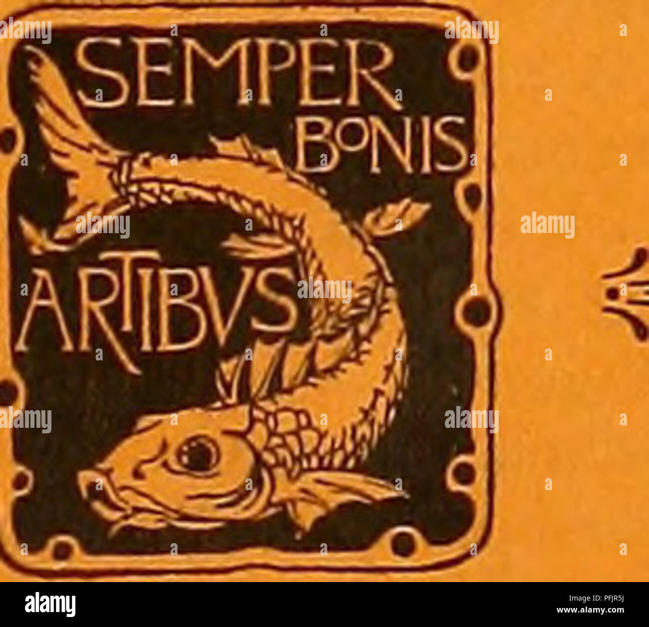 La deuxième série de travaux neurobiologiques publiés par la Medicinal-Natural Science Society of Iena, se concentre sur l'anatomie du cerveau et les connexions entre les voies du tronc cérébral et la moelle épinière et le cortex cérébral. Le travail comprend des études anatomiques détaillées et des illustrations au microscope optique. Banque D'Images