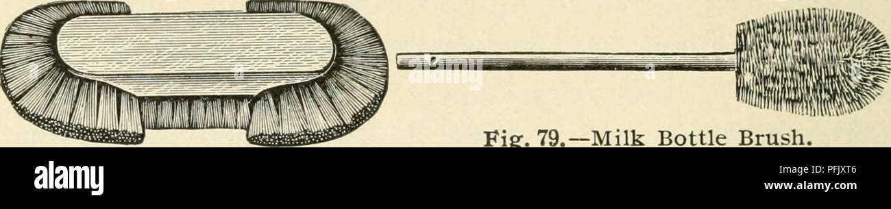 . L'élevage laitier. L'industrie laitière. L'ÉLEVAGE LAITIER 264 pouces de long, 12 pouces de profondeur, et de 16 pouces de large. La partie inférieure doit être rond et deux pieds du sol. Lorsque plus près du plancher que ce trop penché est requis.. Fig. 79.-brosse à bouteille de lait. Fig. 78.-Une bonne brosse de nettoyage. Le fer galvanisé fournit l'un des matériels pédagogiques les plus appropriés pour la construction de laver les puits. Ils devraient être fournis à la vapeur (ou à l'eau chaude) et de l'eau froide tuyaux comme indiqué en Fig. 77. Méthode de lavage. Les navires devraient être thor- qui rincées à l'eau chaude pour re- pousser les petits résidus de lait et crème. E Banque D'Images