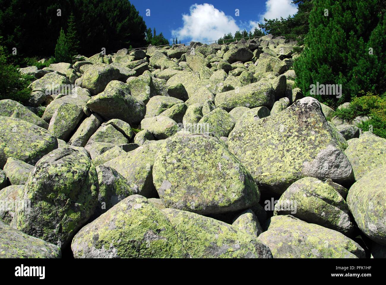 Bulgarie, Sofia, le mont Vitosha, d'énormes blocs de pierre à l'âge de glace River Banque D'Images