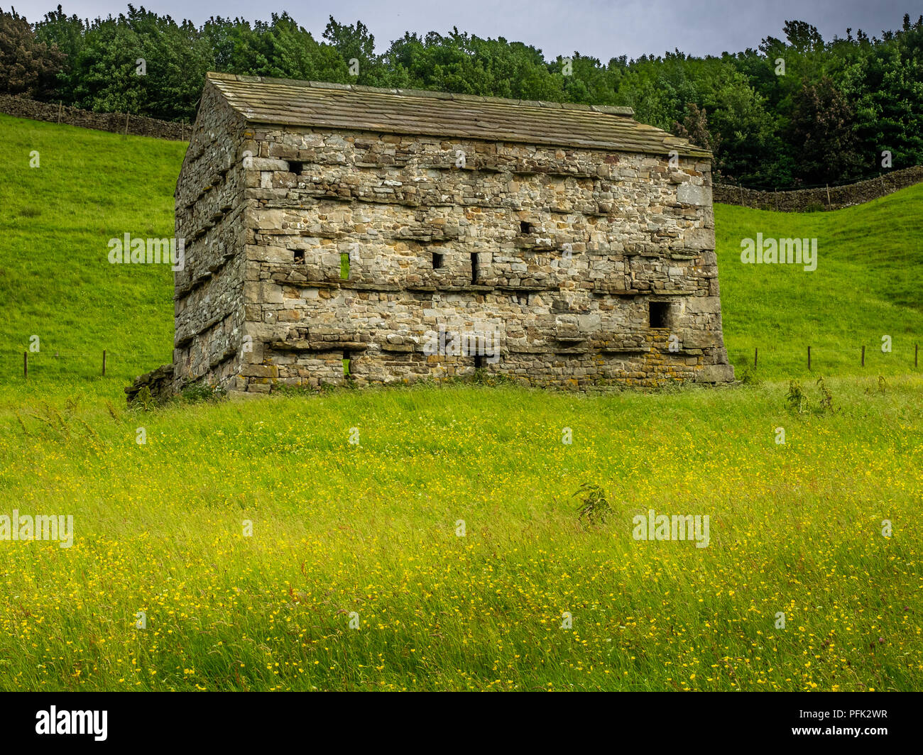 Swaledale dans le Yorkshire Dales National Park ses parties supérieures sont particulièrement remarquables en raison de son grand ancien domaine des granges en pierre calcaire , murs Banque D'Images