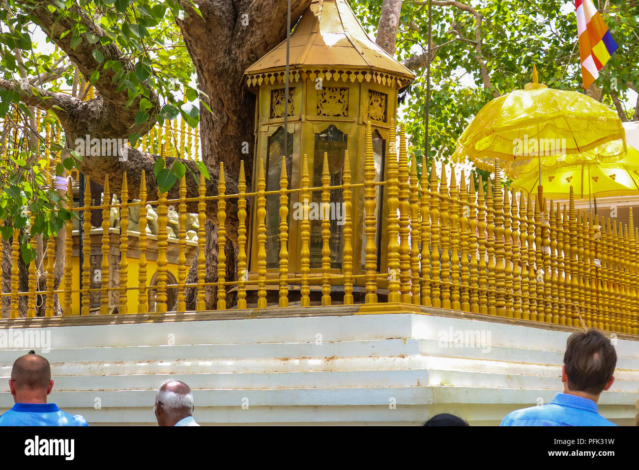Or la clôture autour de la Jaya Sri Maha Bodhi, le Figuier sacré Banque D'Images