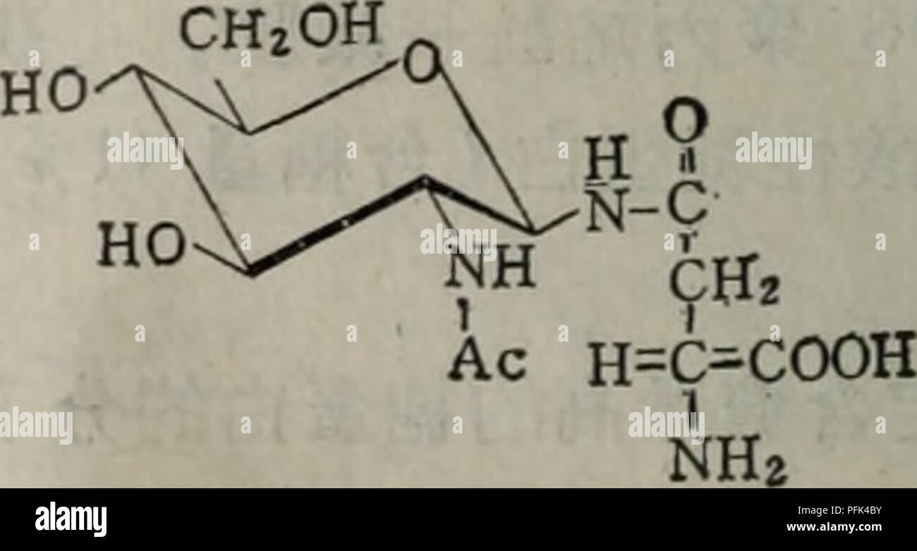 . Dai xie tang dan bai yu dan bai ju tang jie gou gong neng il dai xie. botanique. 0-C-R H-C-COOH NH2 ? ? ? ? ?- ? ? ?  ? ? ? ? ? ? ? ? ?  ?3 ? ? ? ? ? ? ? ? ? ? ? ? ?- ? ? ?. Veuillez noter que ces images sont extraites de la page numérisée des images qui peuvent avoir été retouchées numériquement pour plus de lisibilité - coloration et l'aspect de ces illustrations ne peut pas parfaitement ressembler à l'œuvre originale.. xun ce mo qing han ke xue chu ban. elle Banque D'Images