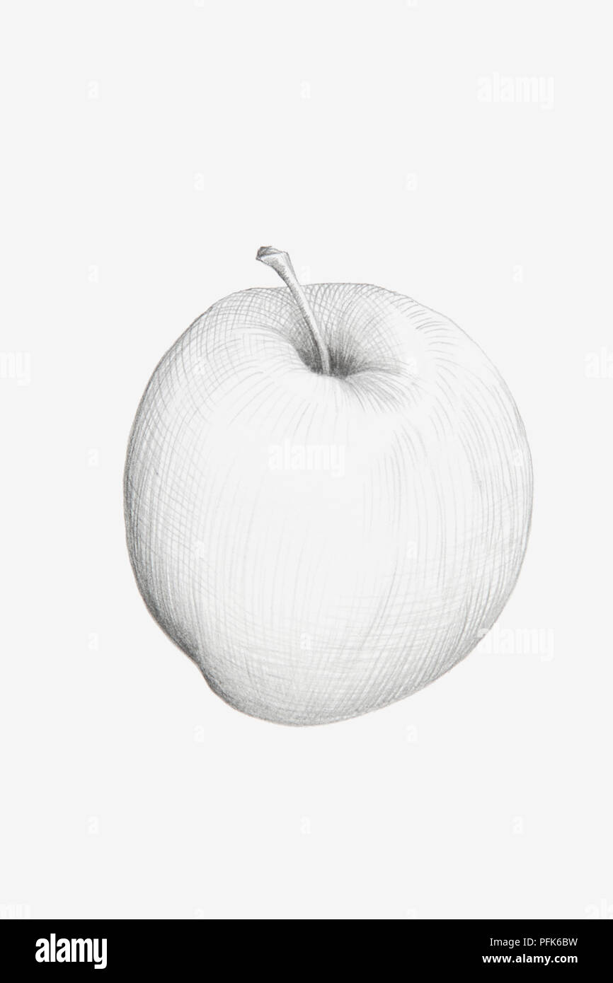 Dessin au crayon noir et blanc d'apple Banque D'Images