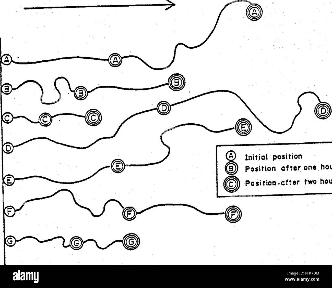 . Repos végétatif, hydrochimiques et microbiologiques des effets d'un parc naturel et un milieu humide artificiel sur le contrôle du drainage minier acide . Mine Drainage ; drainage minier acide ; les zones humides. La dispersion hydrodynamique est la diffusion qui se produit à la fois perpendiculaire à et dans la direction de l'écoulement des eaux souterraines, d'une substance soluble dans l'eau, c'est transporté avec les eaux souterraines. La vitesse de transit des substances solubles dans l'eau peut être supérieur ou inférieur à la moyenne de la vitesse de l'eau souterraine. Hydrody- dispersion dynamique dépend de la distribution de vitesse à moyen et sur la diffusion moléculaire. Banque D'Images