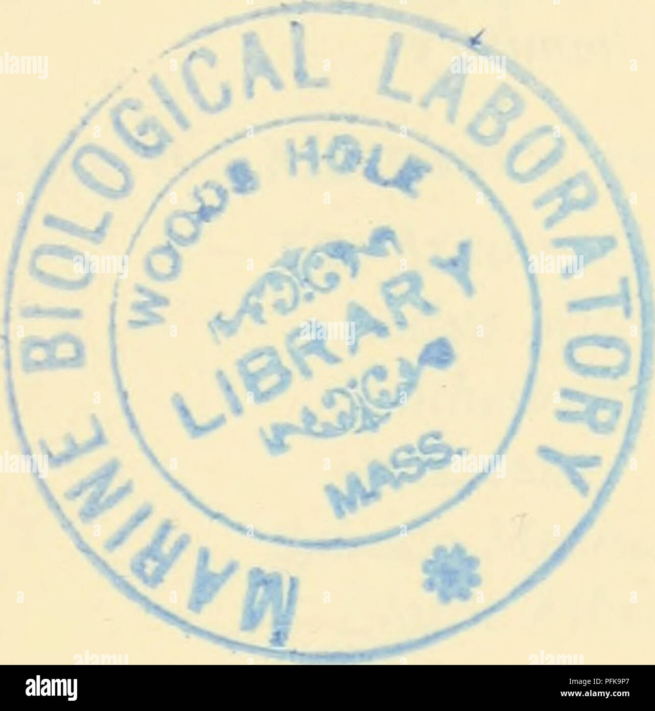 Ce texte sur la cytologie explore la structure et la fonction des composants cellulaires tels que les mitochondries, les plastes, les lysosomes et la membrane cellulaire. Il fournit un aperçu complet de la morphologie et de la chimie cellulaire, y compris les protéines, les lipides et les acides nucléiques. Banque D'Images