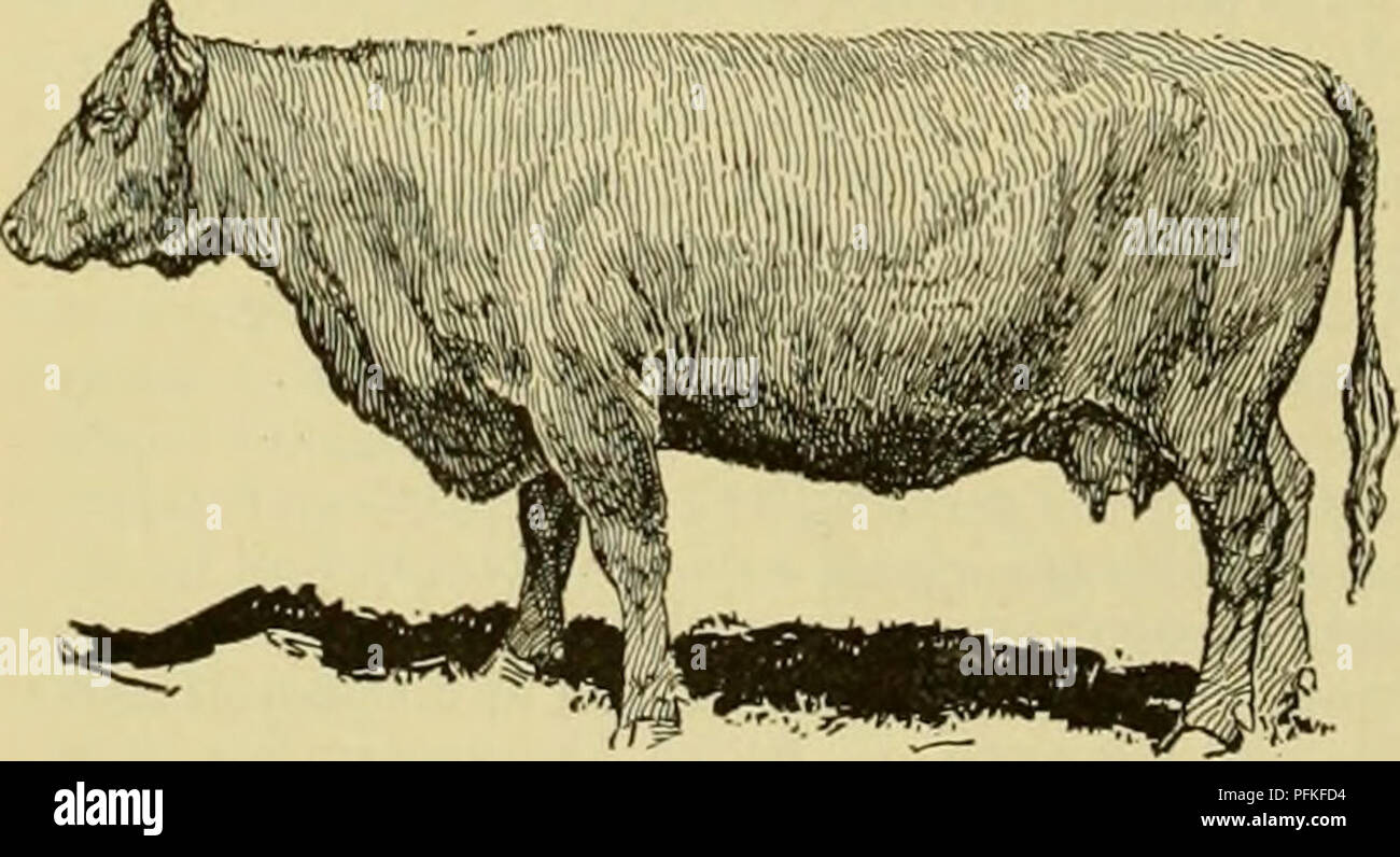 Cyclopedia Des Animaux De Ferme Les Animaux Et Produits Du