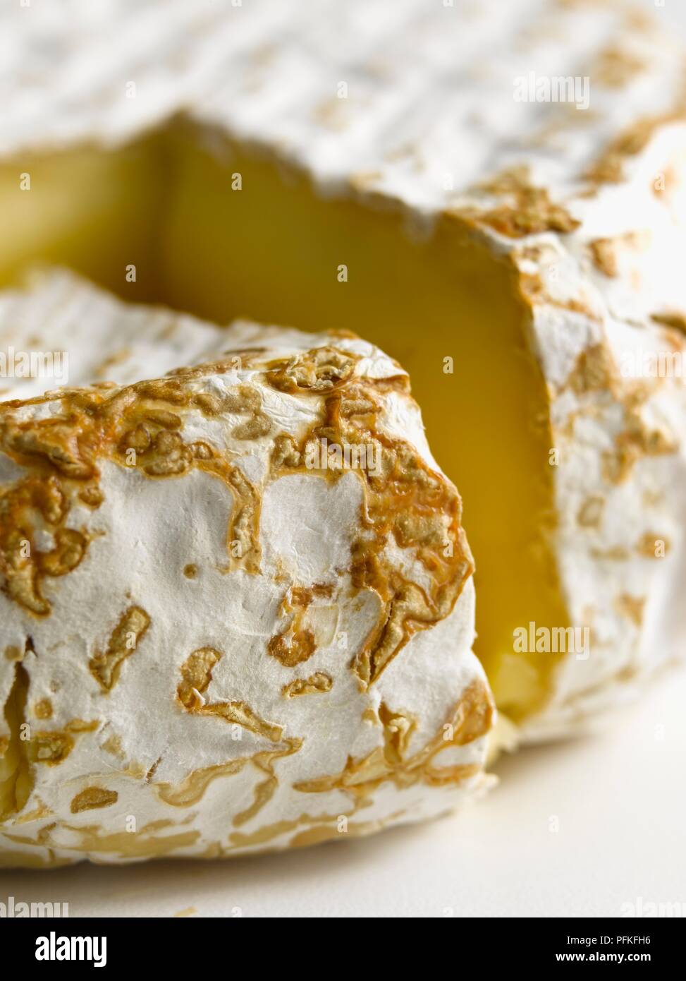 Croûte de American Mt Tam fromage au lait de vache, close-up Banque D'Images
