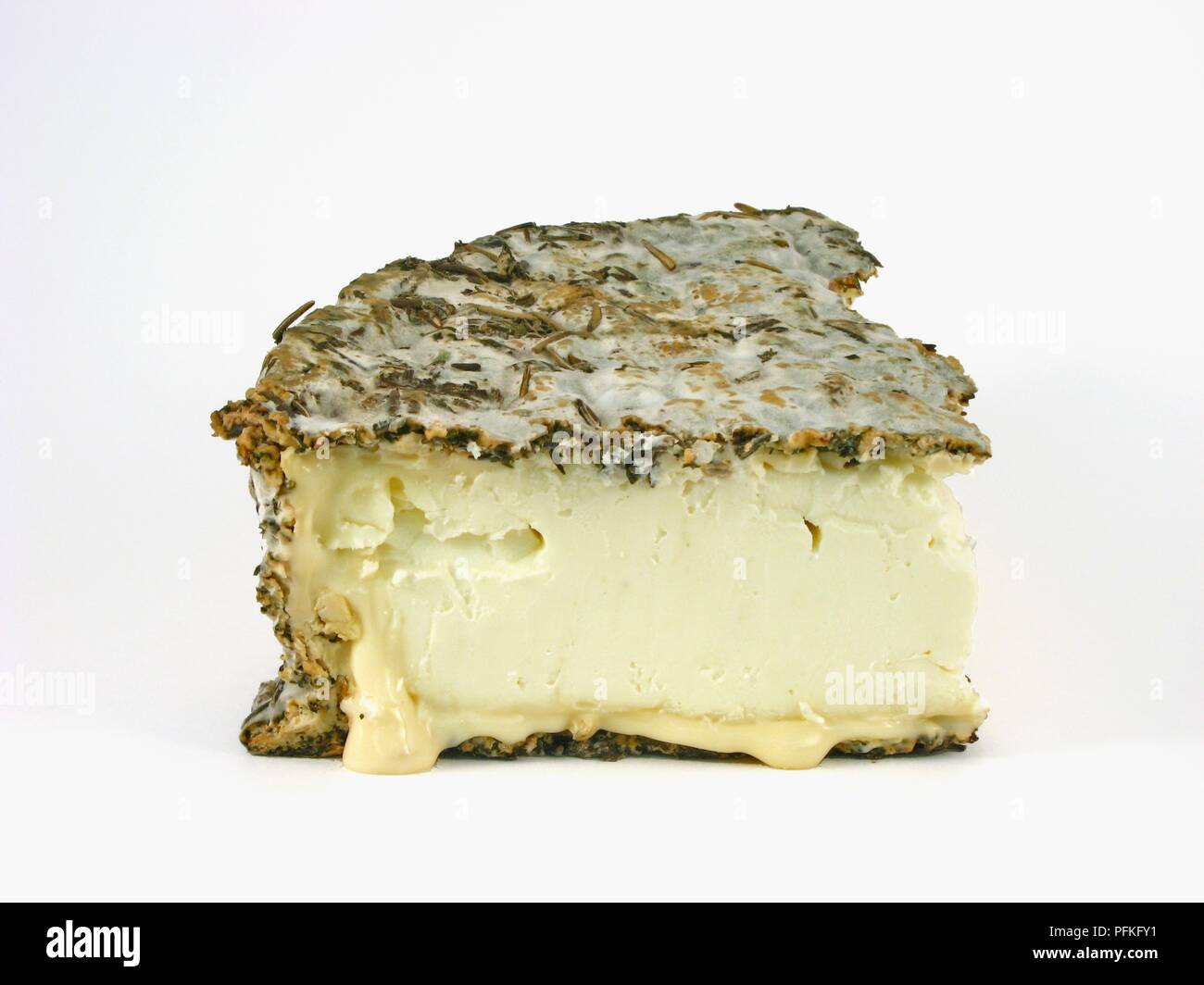 Tranche de fromage canadien Piacere, un fromage au lait de brebis avec des herbes et épices sur l'écorce Banque D'Images