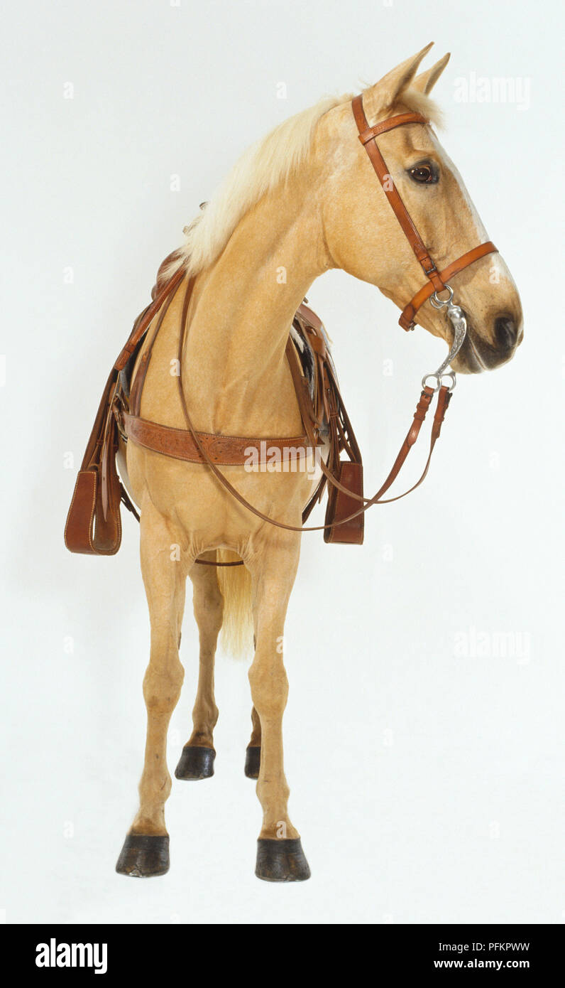 Cheval palomino top