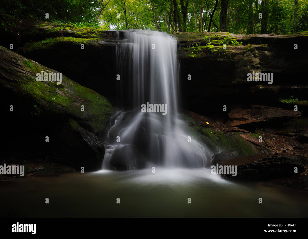 Otter Falls, sept démons, Caroline du Nord - un jardin verdoyant avec une incroyable cascade moussue cascade dans sept diables, Caroline du Nord. Banque D'Images