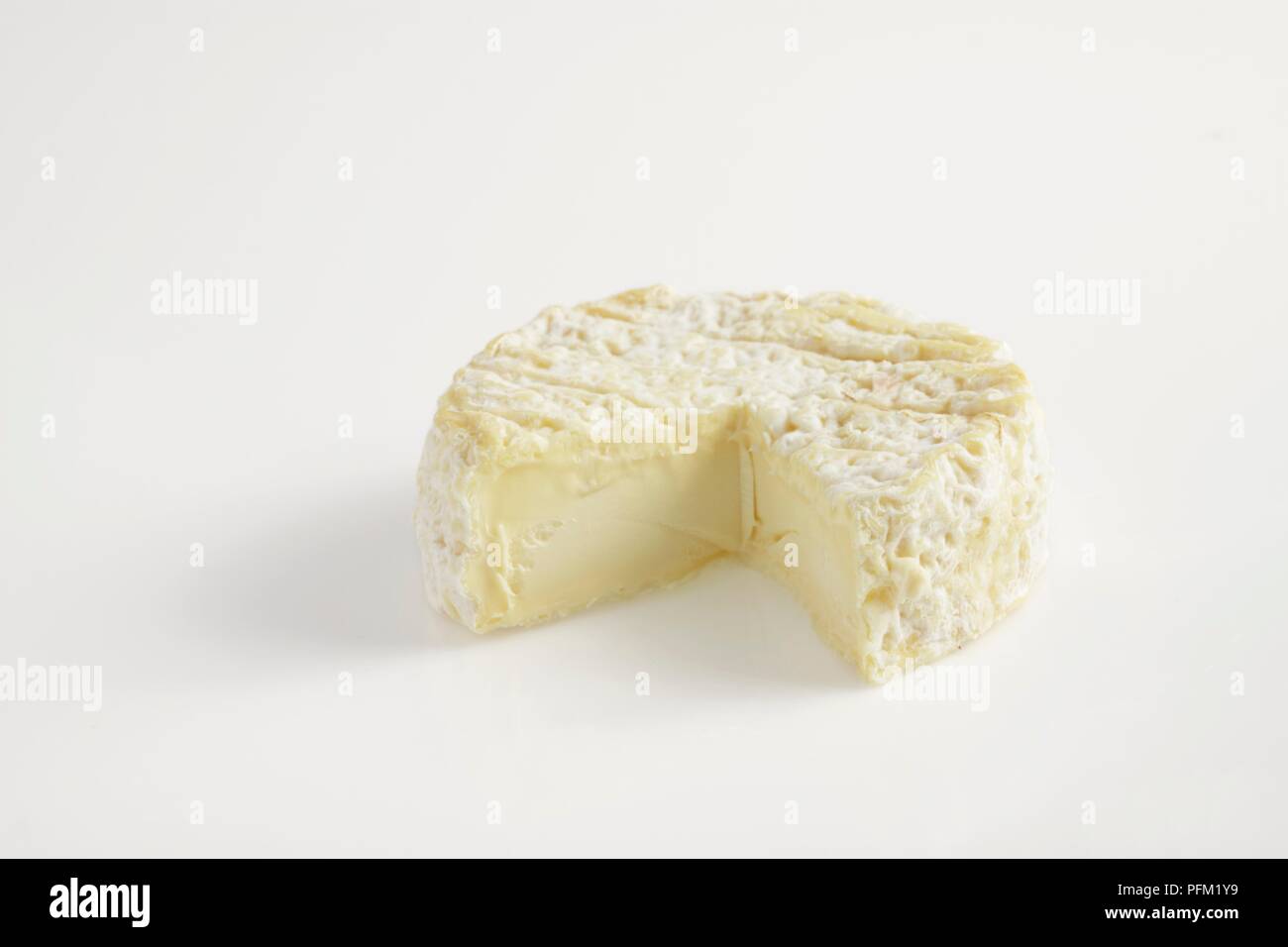 Tour des Anglais Saint-Felicien fromage au lait de vache avec de l'écorce ridée Banque D'Images
