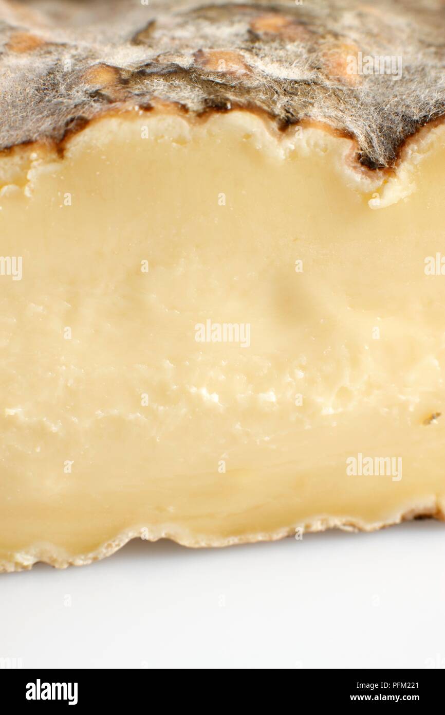 AOC Saint-Nectaire Français tranche de fromage au lait de vache et à croûte lavée, pâte montrant close-up Banque D'Images