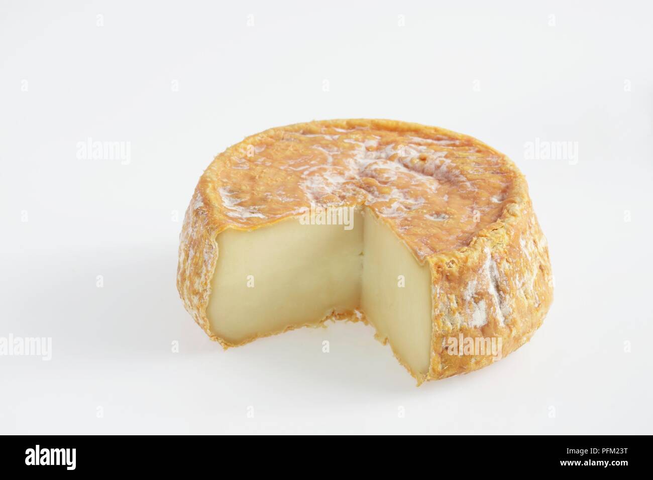 Tour des Anglais U Bel Fiuritu fromage de brebis montrant la moisissure blanche sur le zeste d'orange Banque D'Images