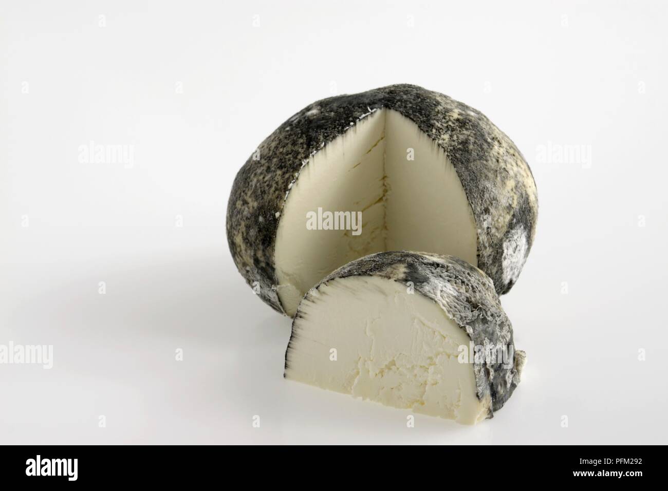 Meubles de série de Ventadour français du fromage de chèvre avec la moisissure blanche sur écorce gris Banque D'Images