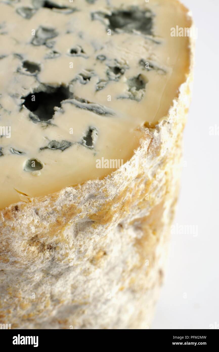 La Fourme d'Ambert fromage bleu, close-up Banque D'Images