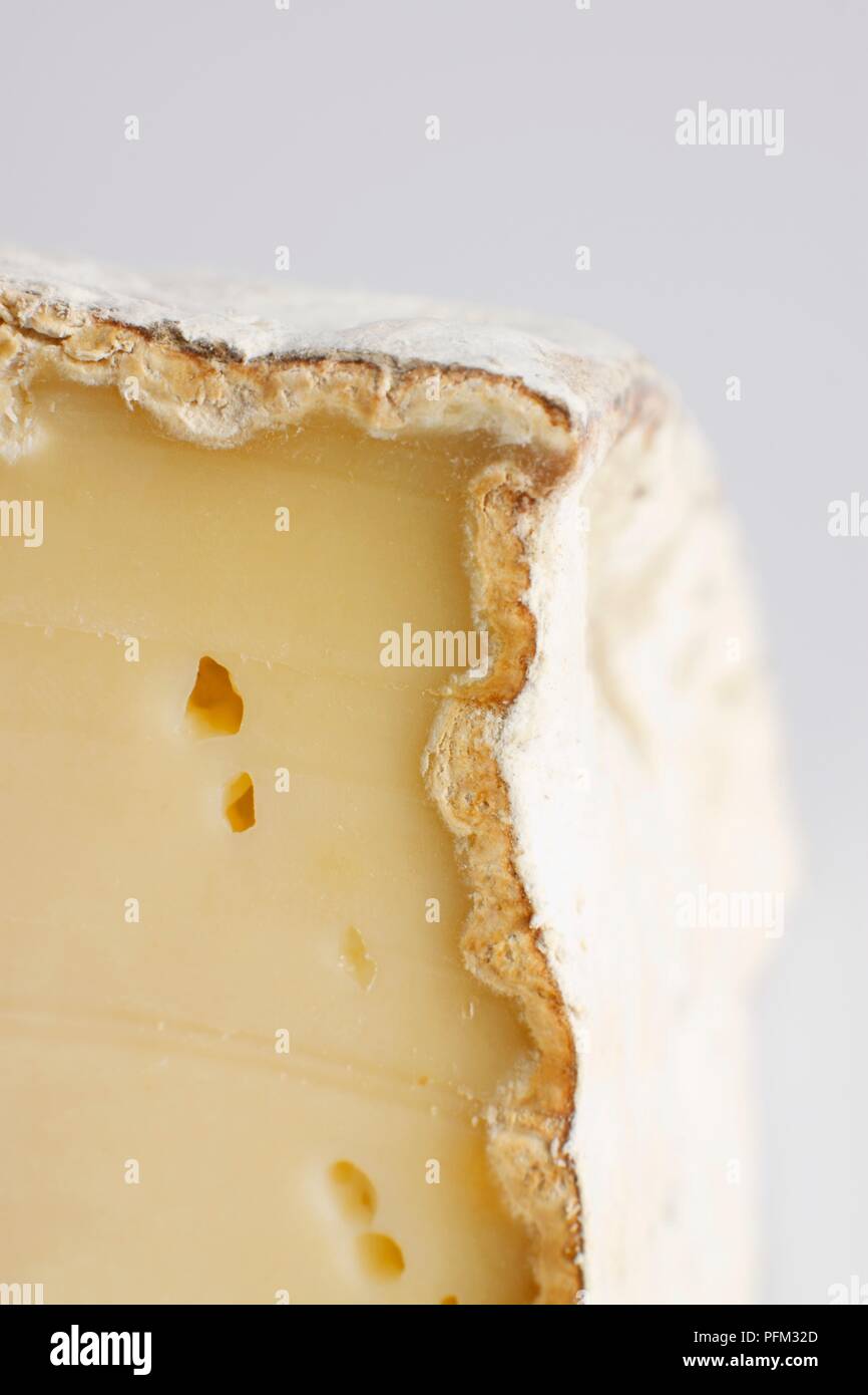 Close-up sur la croûte de la Tomme des Bauges Français fromage au lait de vache Banque D'Images