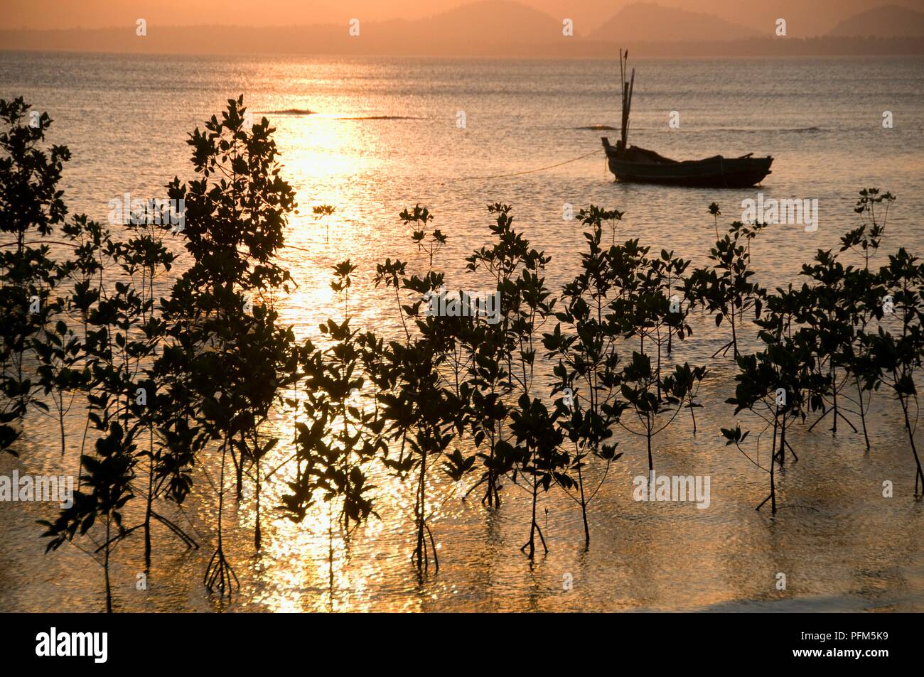 La Thaïlande, la Province de Prachuap Khiri Khan, Bang Saphan Yai, silhouette de bateau de pêche et des arbres dans la mer au coucher du soleil Banque D'Images