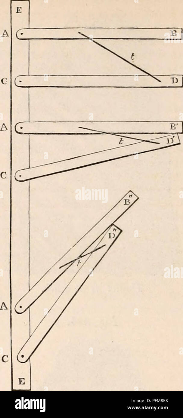 . La cyclopaedia d'anatomie et physiologie. Anatomie ; physiologie ; Zoologie. 1050 THORAX. Ces faits montrent que nous devrions être prudents dans la détermination de la vie des mouvements respiratoires par des expériences sur les morts sous réserve. Il doit être constamment à l'esprit, que d'augmenter ou diminuer l'espace intercostal est d'élever ou abaisser les côtes, et que pour élever ou abaisser les côtes est d'augmenter ou diminuer leurs espaces intercostaux : l'une ne peut être accompli sans l'autre. Certains au- thors ont parlé de ces distincts ; ainsi, que dans les côtes d'inspiration supérieure ap- proche chaque oth Banque D'Images