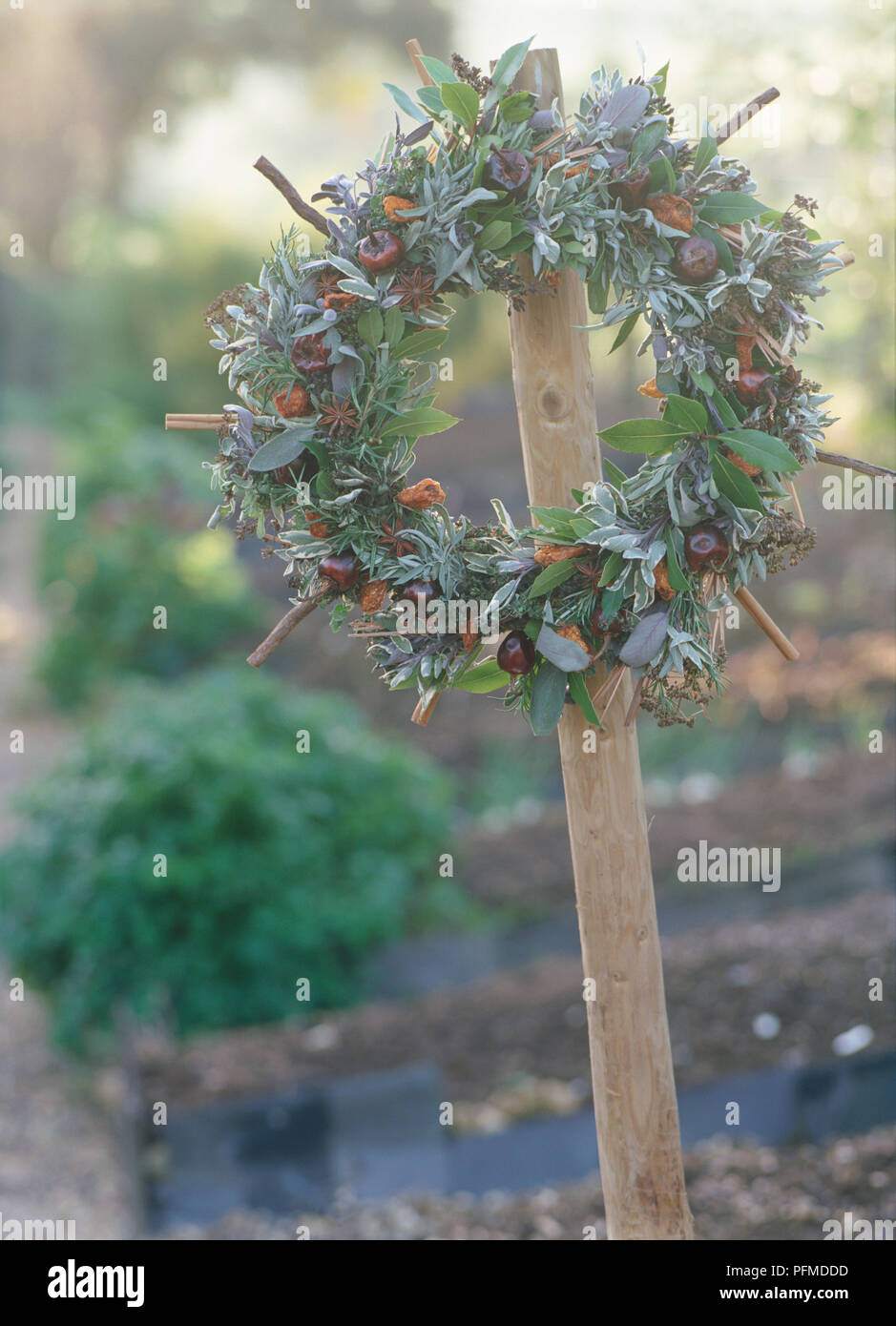 Couronne de fleurs de mauve aromatiques sur l'extérieur en bois, feuilles vertes, baies noires, têtes de graines séchées, et des bâtons. Banque D'Images