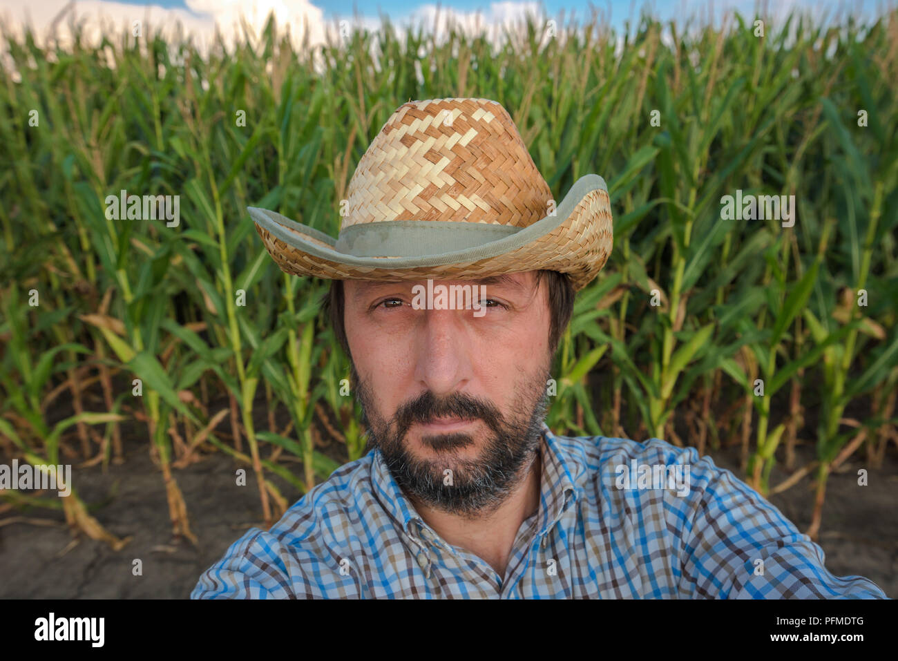 Des agriculteurs en portrait selfies champ de maïs, fier et satisfait de la croissance de ses récoltes Banque D'Images