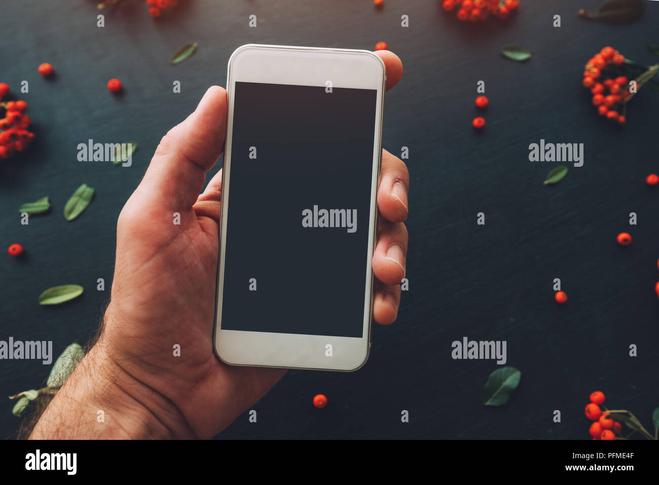 La main à l'aide de l'écran du smartphone des maquettes sur fond sombre avec arrangement de fleurs Banque D'Images