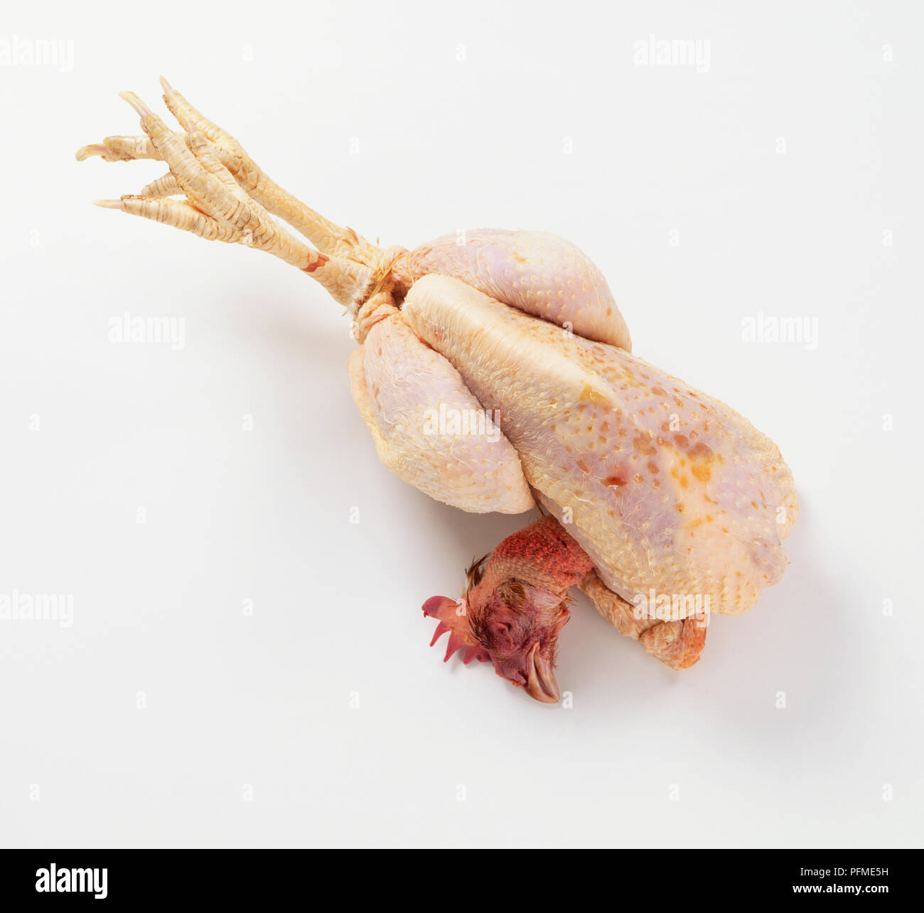 Trussed poulet, avec la tête et les pieds, vue de dessus. Banque D'Images