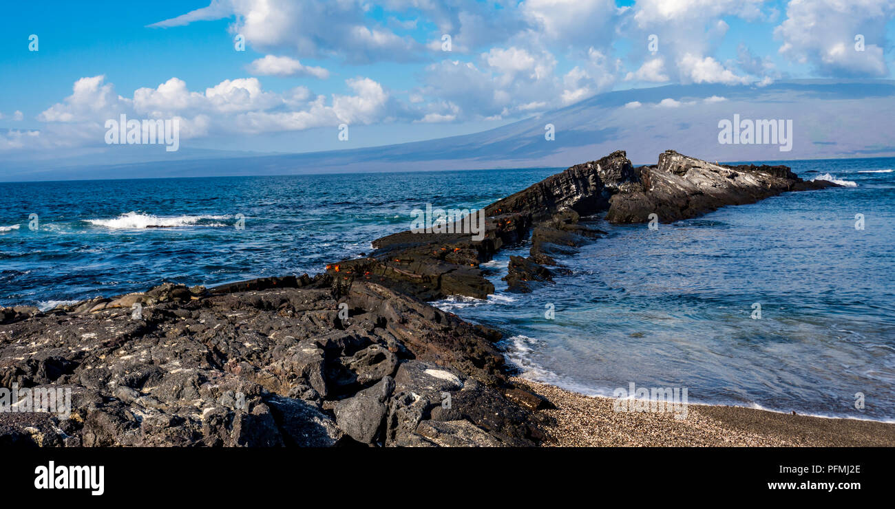 Un affleurement de roches de lave noire s'étend dans l'océan Pacifique aux îles Galapagos, en Équateur. Banque D'Images