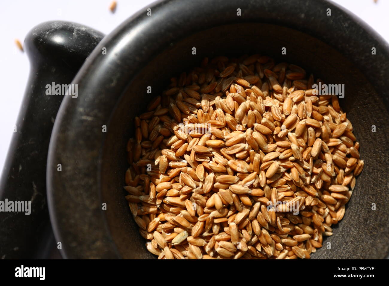 L'alimentation : grains d'épeautre Bio Banque D'Images