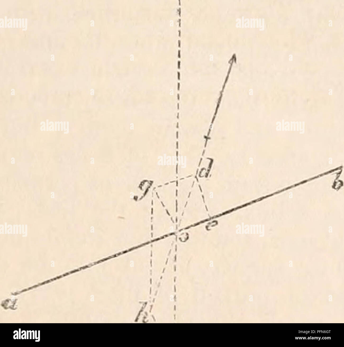 Ce travail de référence couvre l'anatomie et la physiologie humaines, avec un accent sur la mécanique du mouvement. Il décrit comment différentes parties du corps, comme les jambes et les cuisses, se déplacent pendant des activités telles que la natation, avec une exploration détaillée de l'interaction musculaire et articulaire. Banque D'Images