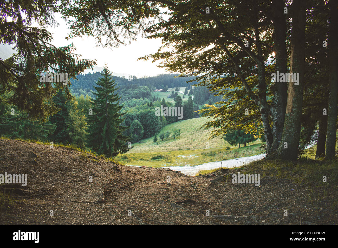 Nature style retro photo tourné en un matin parfait pour la randonnée , Predeal, Roumanie Banque D'Images