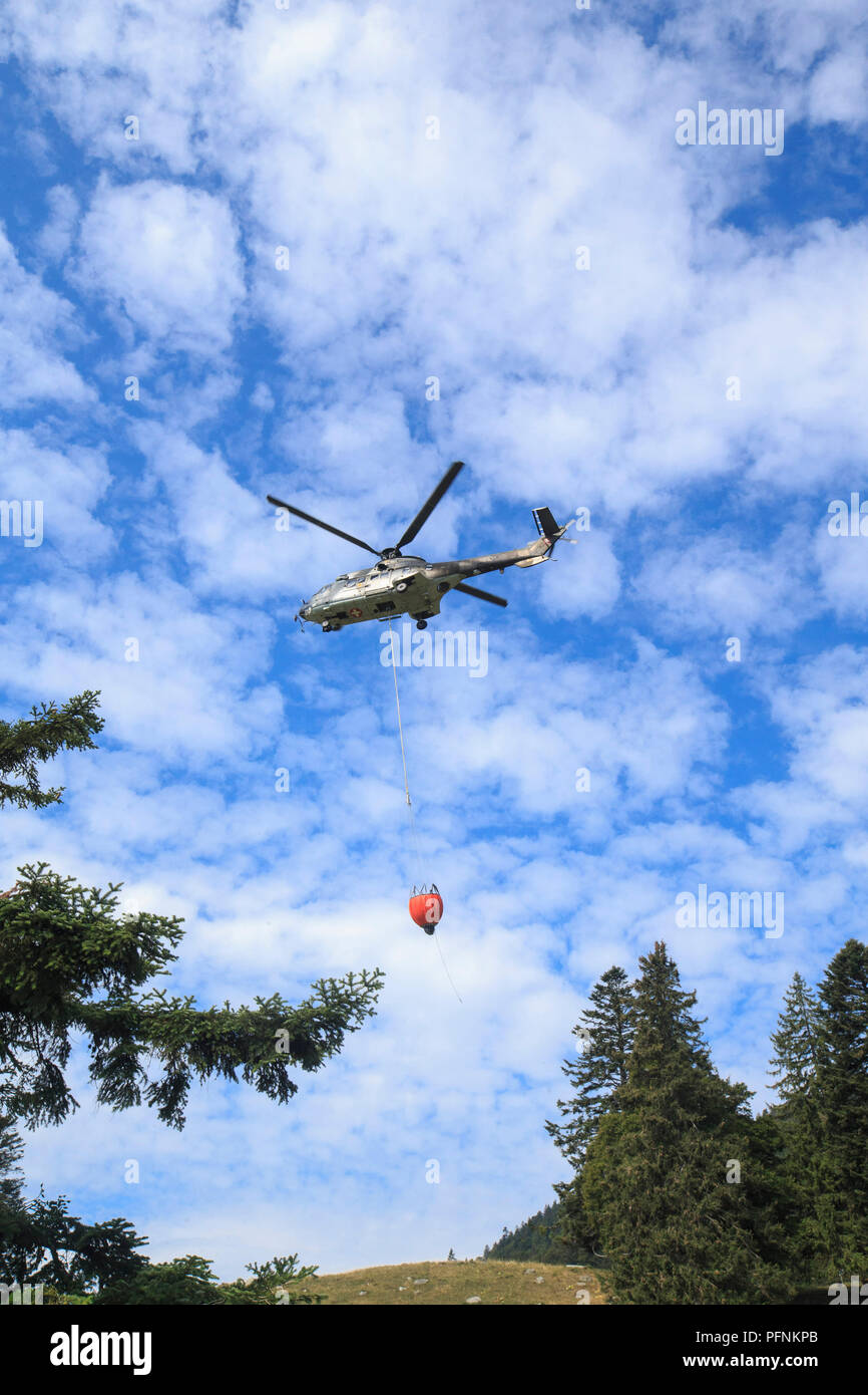 Suchet, Suisse. Août 22, 2018. Un hélicoptère de l'armée suisse envoie de l'eau pour les vaches sur un alpage sur Suchet, sommet ouest de la Suisse, le 22 août, 2018. La Suisse connaît son plus bas des précipitations dans près d'un siècle, avec les pâturages de montagne ratatinement et hélicoptères de l'armée utilisés pour transporter l'eau. Credit : Xu Jinquan/Xinhua/Alamy Live News Banque D'Images