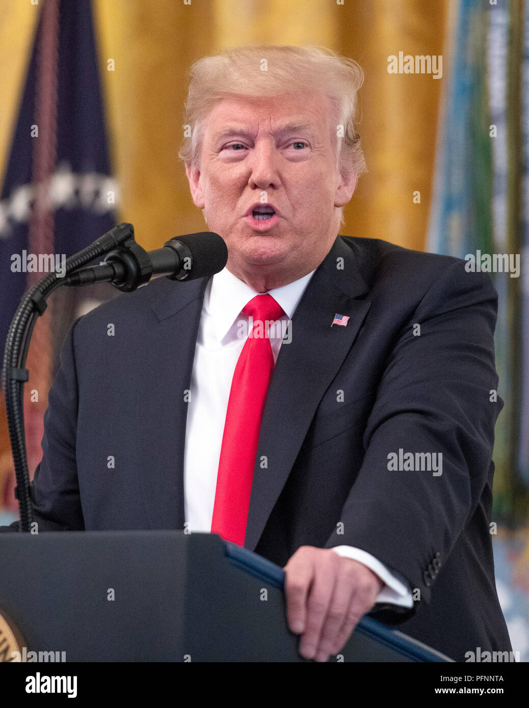 Le Président des Etats-Unis, Donald J. Trump rend les commentaires comme il remettant la médaille d'Honneur à titre posthume à Technical Sergent John A. Chapman, US Air Force, au cours d'une cérémonie à l'Est Prix de la Maison Blanche à Washington, DC le mercredi, Août 22, 2018. Le sergent Chapman est honorée pour ses actions le 4 mars 2002, sur Takur Ghar mountain en Afghanistan où il a donné sa vie pour sauver ses coéquipiers. Credit : Ron Sachs/CNP | conditions dans le monde entier Banque D'Images