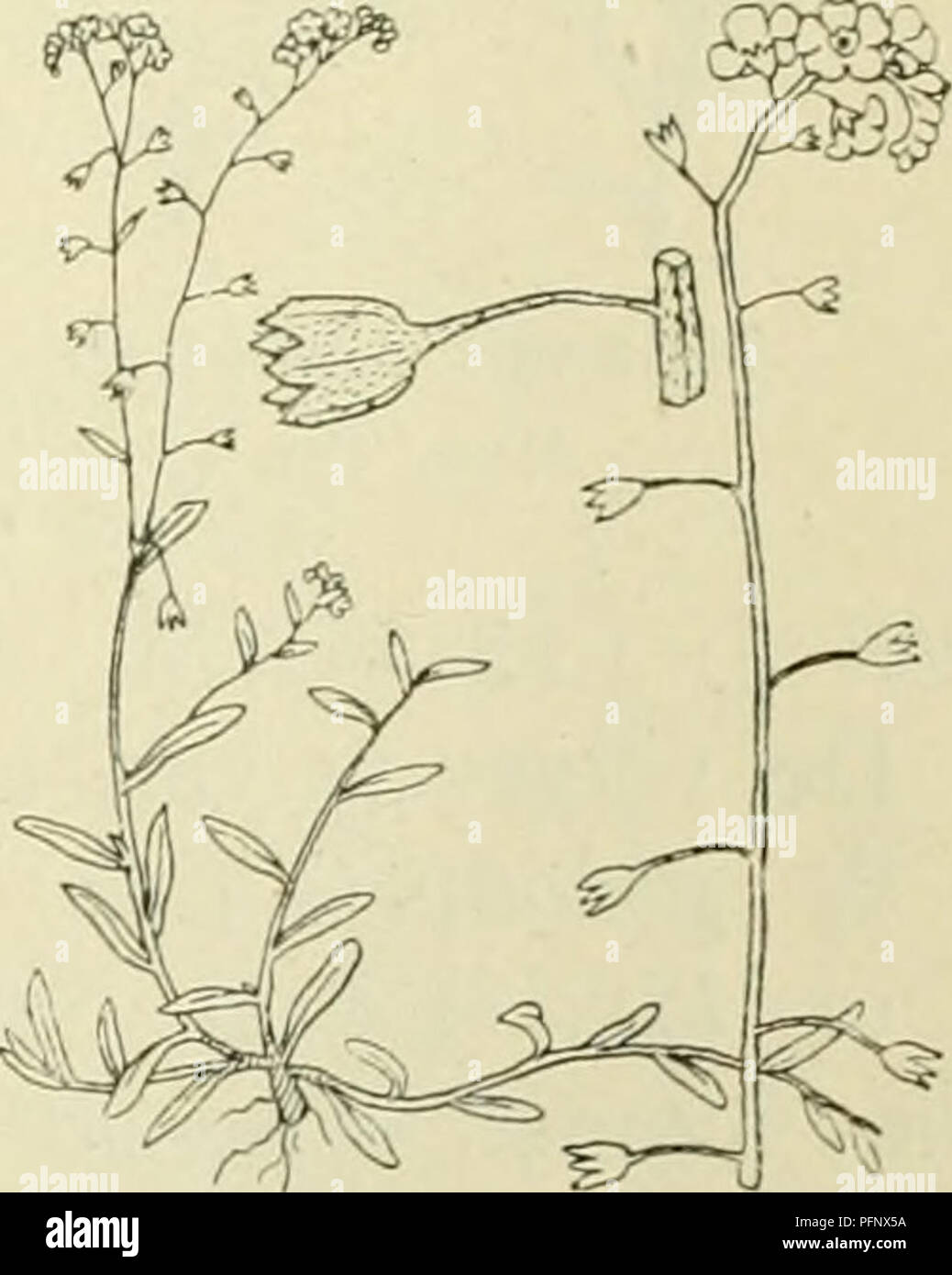 C Van Der Banque D Image Et Photos Alamy