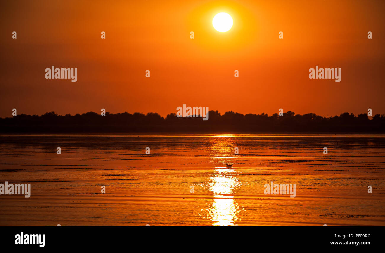 Coucher du soleil dans le delta du Danube en Roumanie.belles lumières bleuté dans l'eau.beau coucher de soleil paysage de la Réserve de biosphère du delta du Danube en Roumanie Banque D'Images