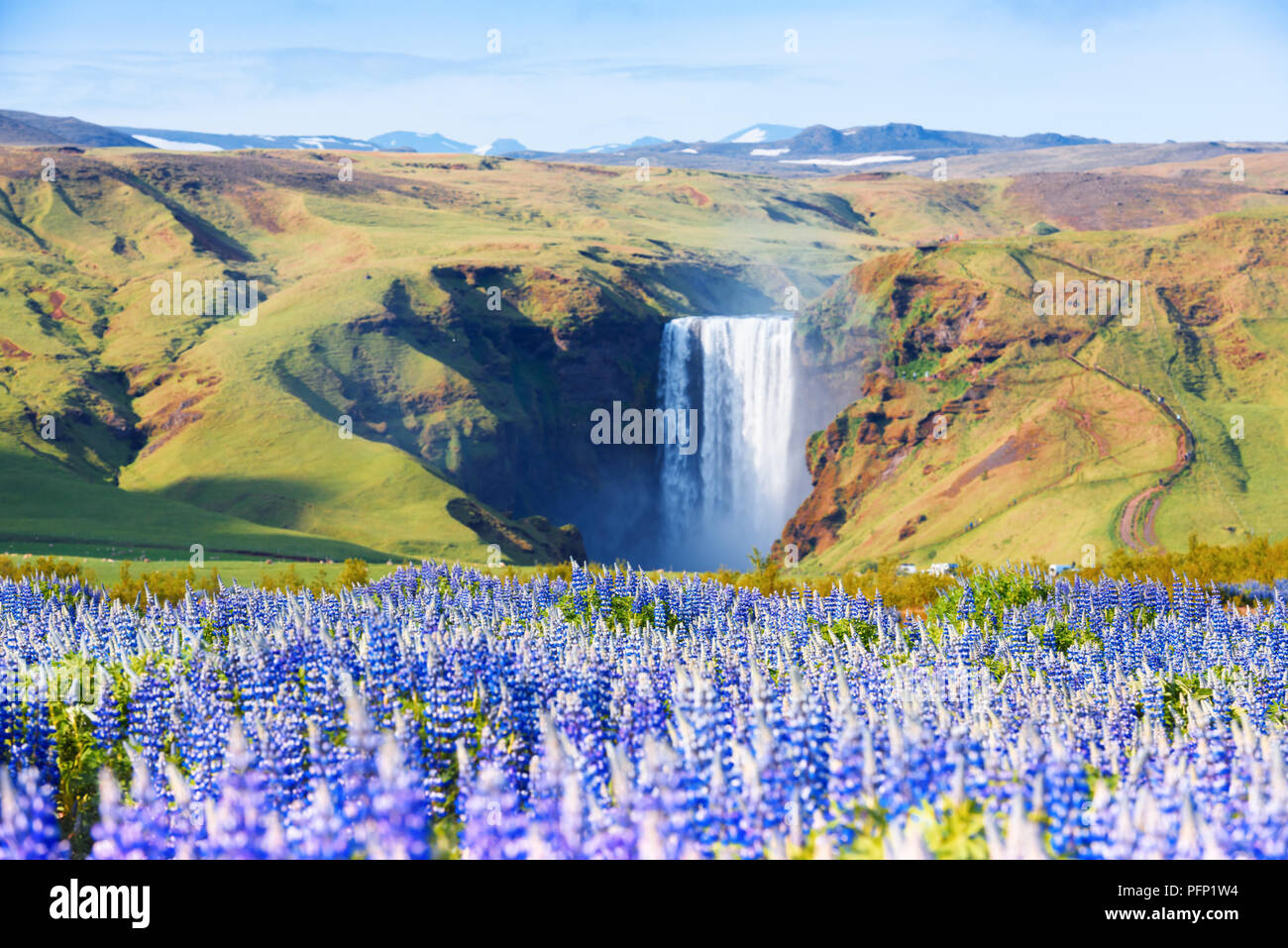 Célèbre cascade Skogafoss Banque D'Images