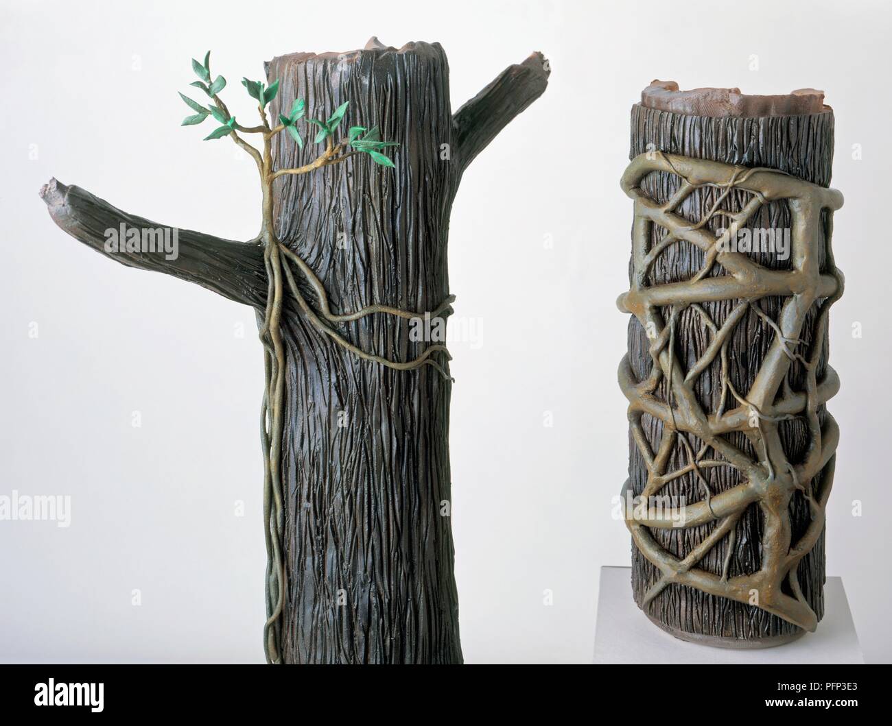 Modèles de strangler fig sur tronc d'arbre, à deux stades différents de la croissance, close-up Banque D'Images