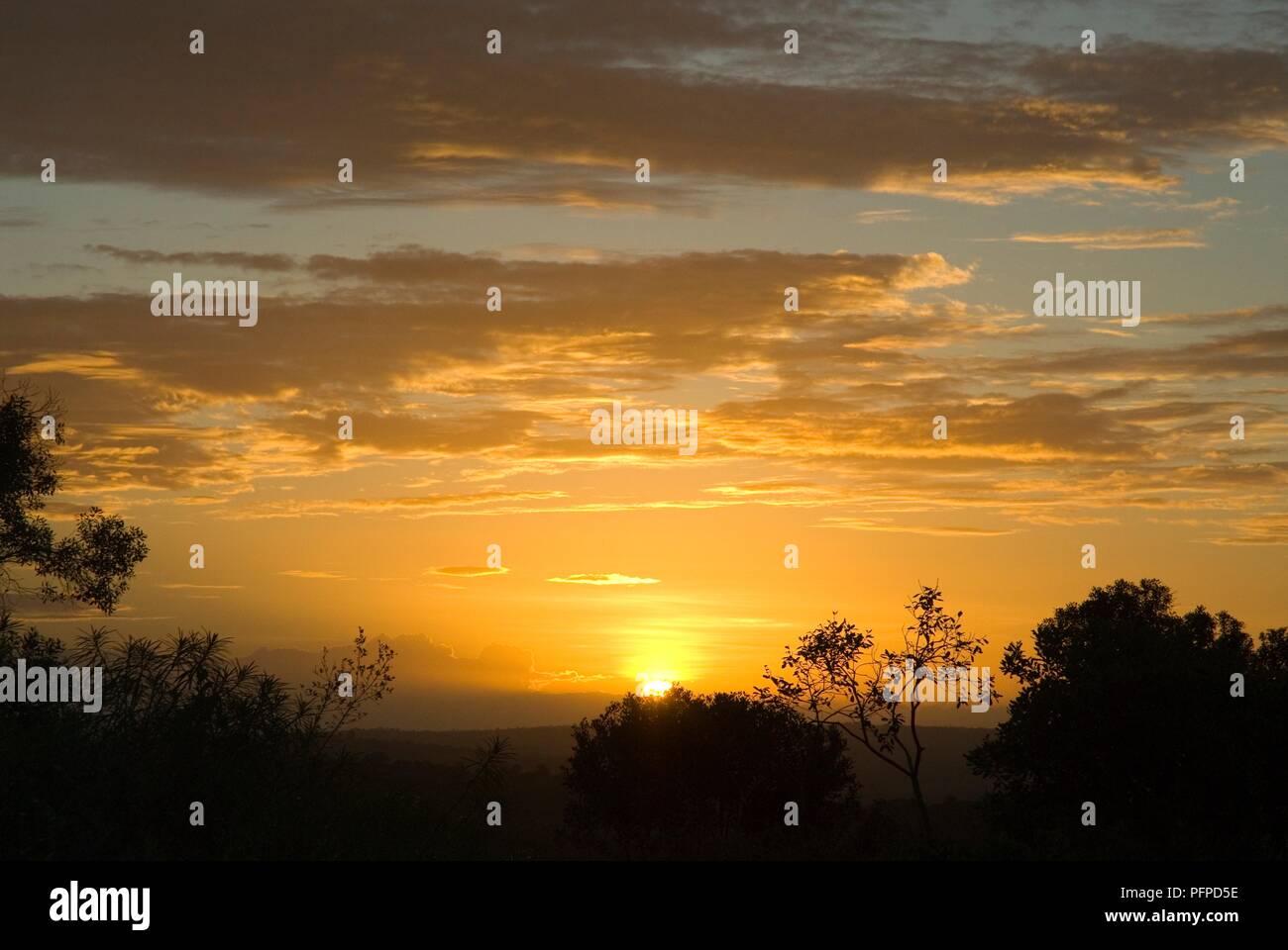 Au Kenya, le site Shimba Hills National Reserve, coucher de soleil sur la campagne Banque D'Images