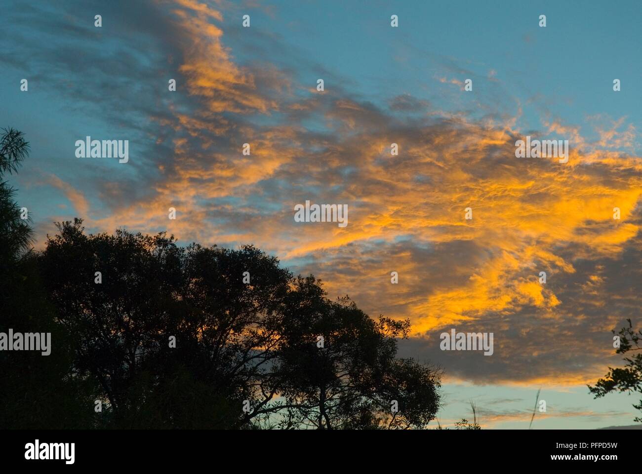 Au Kenya, le site Shimba Hills National Reserve, les nuages éclairés au coucher du soleil Banque D'Images